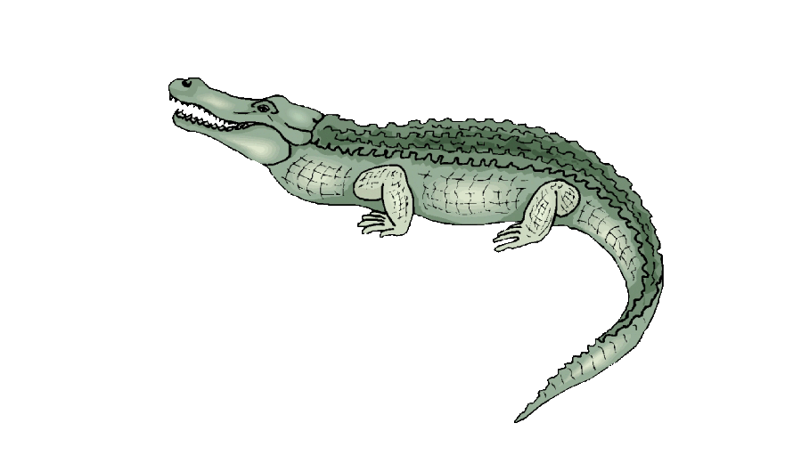 Louisiana Alligator Council